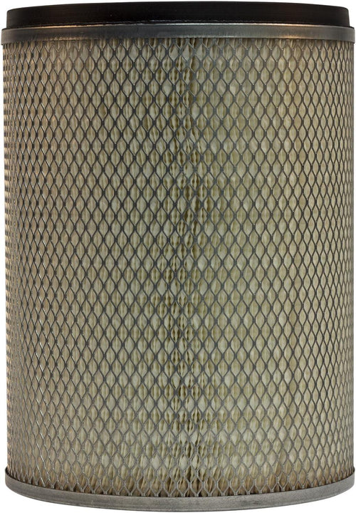 Professional A2198C Air Filter