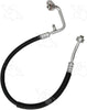 55167 Discharge Line Hose Assembly