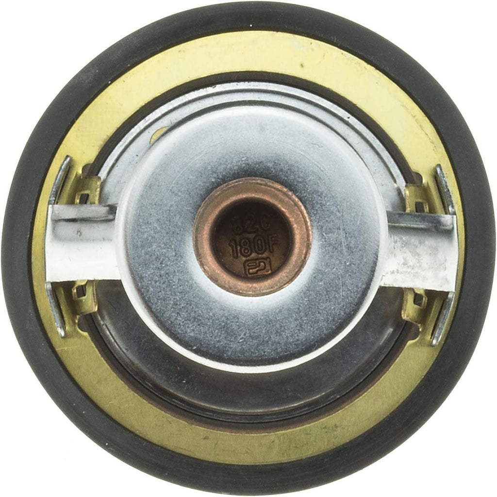 7307-160 Fail-Safe Thermostat with Seal