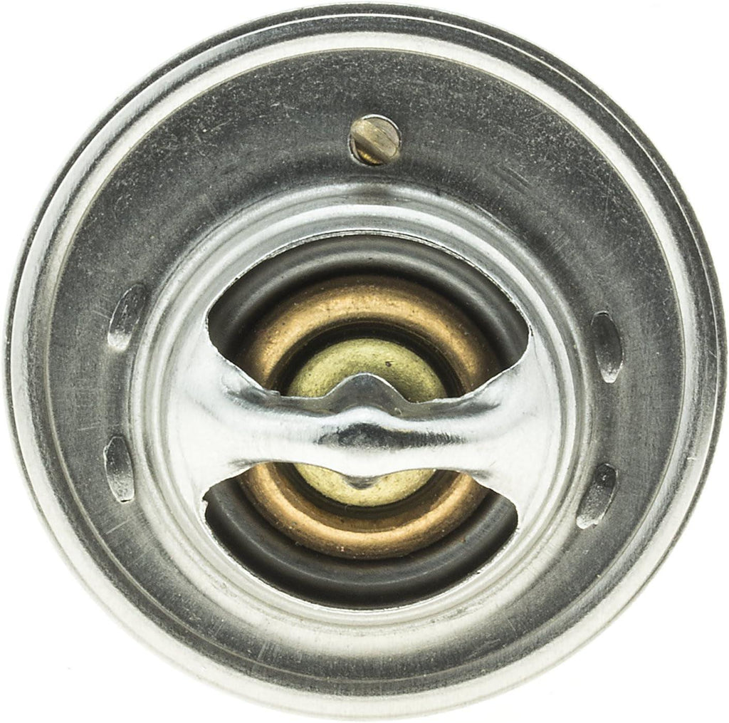 242-160 Thermostat