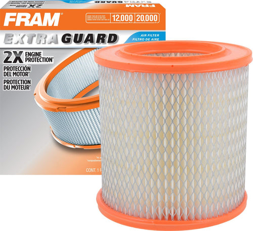 Extra Guard Engine Air Filter Replacement, Easy Install W/Advanced Engine Protection and Optimal Performance, CA3902 for Select Buick, Chevrolet, Oldsmobile and Pontiac Vehicles