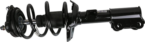 Roadmatic 183072 Strut and Coil Spring Assembly