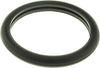 MG29EA Engine Coolant Thermostat Seal