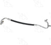 56636 Hose Assembly