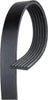 Gold 6K700 Standard V-Ribbed Serpentine Belt