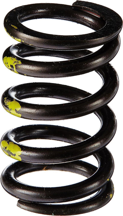 22180-16 Valve Spring, 16 Piece
