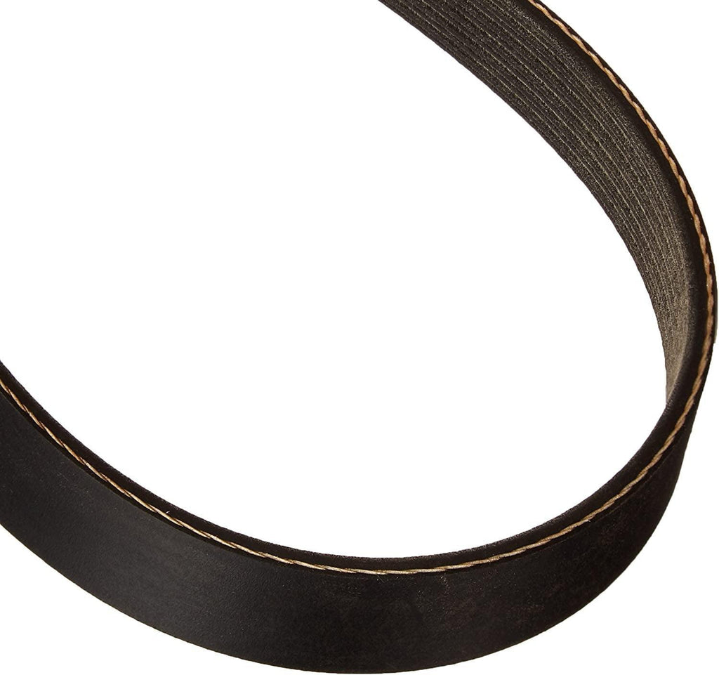 5061033 Serpentine Belt, Black