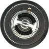 33019S Thermostat