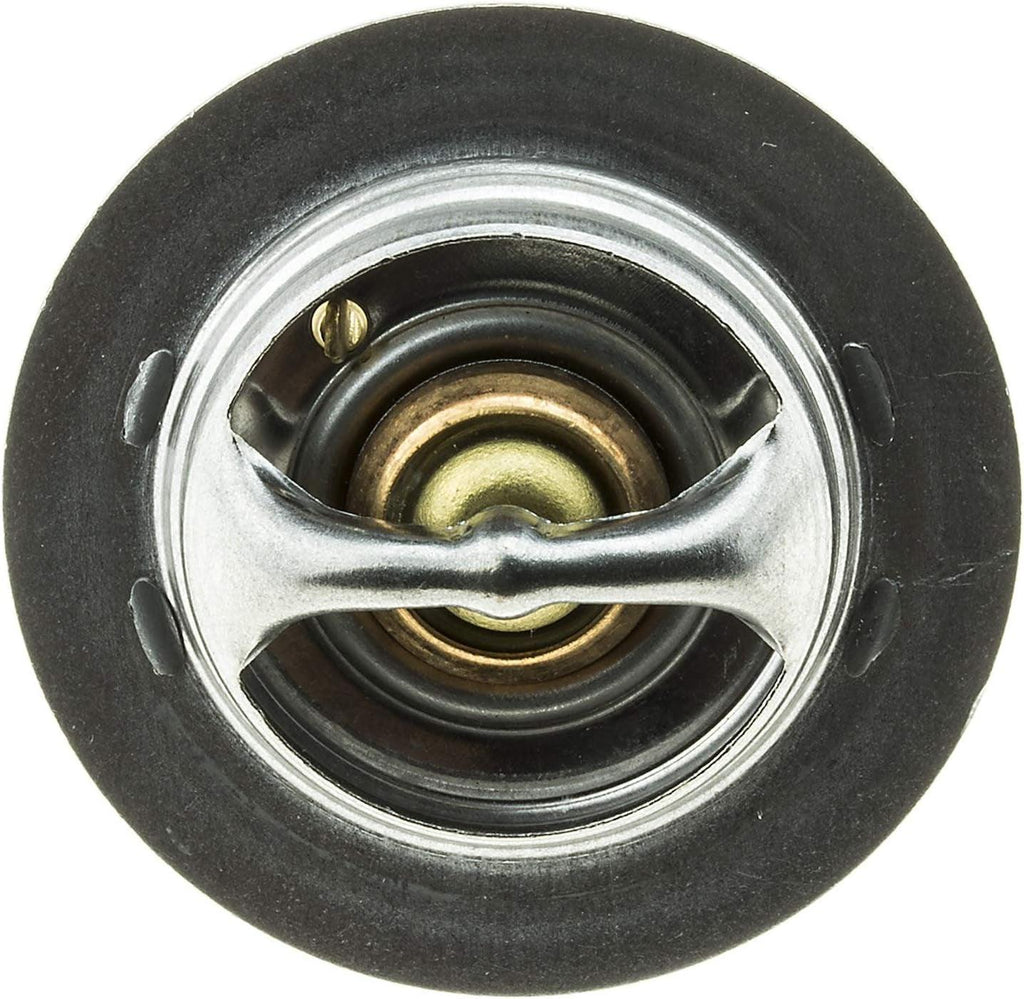 -14252 OE Type Thermostat, Stainless Steel