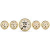 5 PC. GAUGE KIT 3-1/8 in. & 2-1/16 in. MECH. SPEEDOMETER GOLDEN OLDIES - greatparts