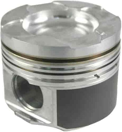930036055 Piston Set