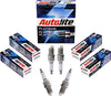 Autolite Platinum AP5224 Automotive Replacement Spark Plug (1 Pack)