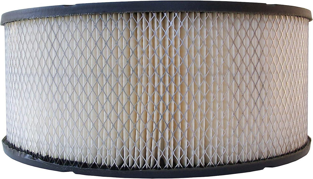 GM Original Equipment A753C Air Filter