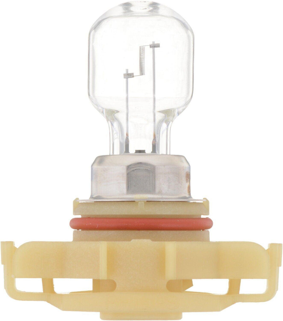 Fog Light Bulb for Aveo, Beat, Silverado 2500 Hd+More PS24WFFB1