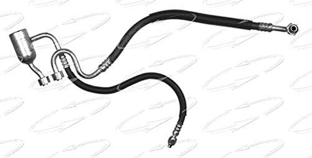 55484 Hose Assembly