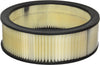 A42318 Classic Air Filter