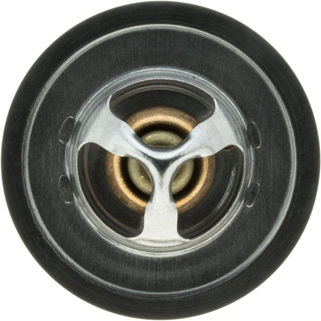 2065-160 160 °F High Performance Thermostat