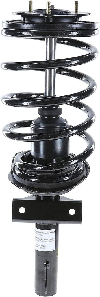 182122 Suspension Strut and Coil Spring Assembly