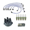 TK2026-09 : Fits 1975-76 Nissan 280Z Tune up Kit, NGK Spark Plug Wire Cap Rotor