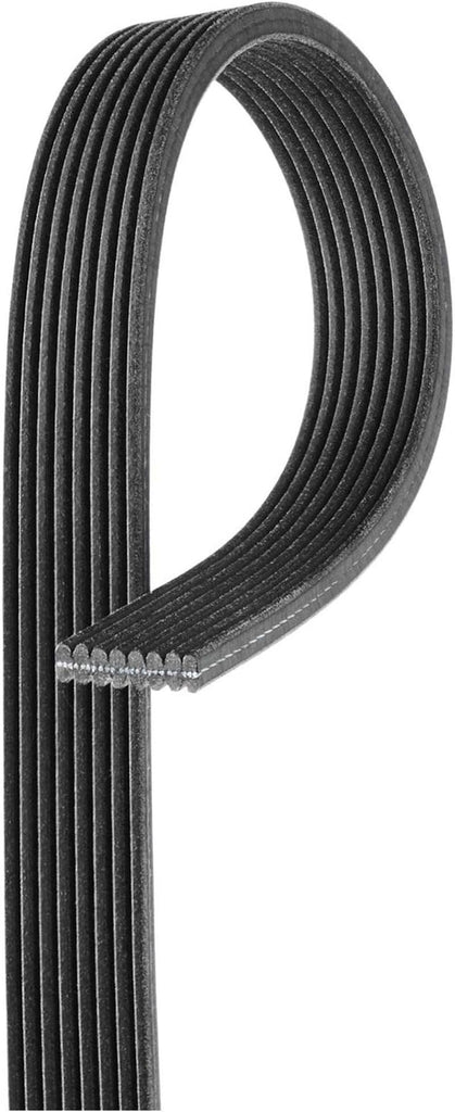 Gold 8DK1254 Dual Sided V-Ribbed Serpentine Belt