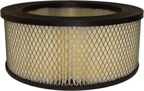 Professional A2841C Air Filter