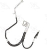 56166 Hose Assembly