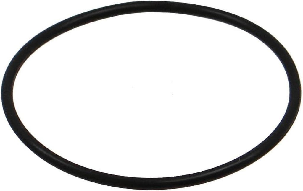 01056852 EGR Valve O Ring, 1 Pack