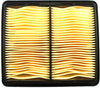 Genuine  Parts 17220-P07-000 Air Filter for  Civic and Del Sol