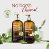 MAJESTIC PURE Apple Cider Vinegar Shampoo and Avocado Coconut Conditioner Set - Restores Shine & Reduces Itchy Scalp, Dandruff & Frizz - Sulfate Free, for All Hair Types, Men and Women - 2 X 16 Fl Oz