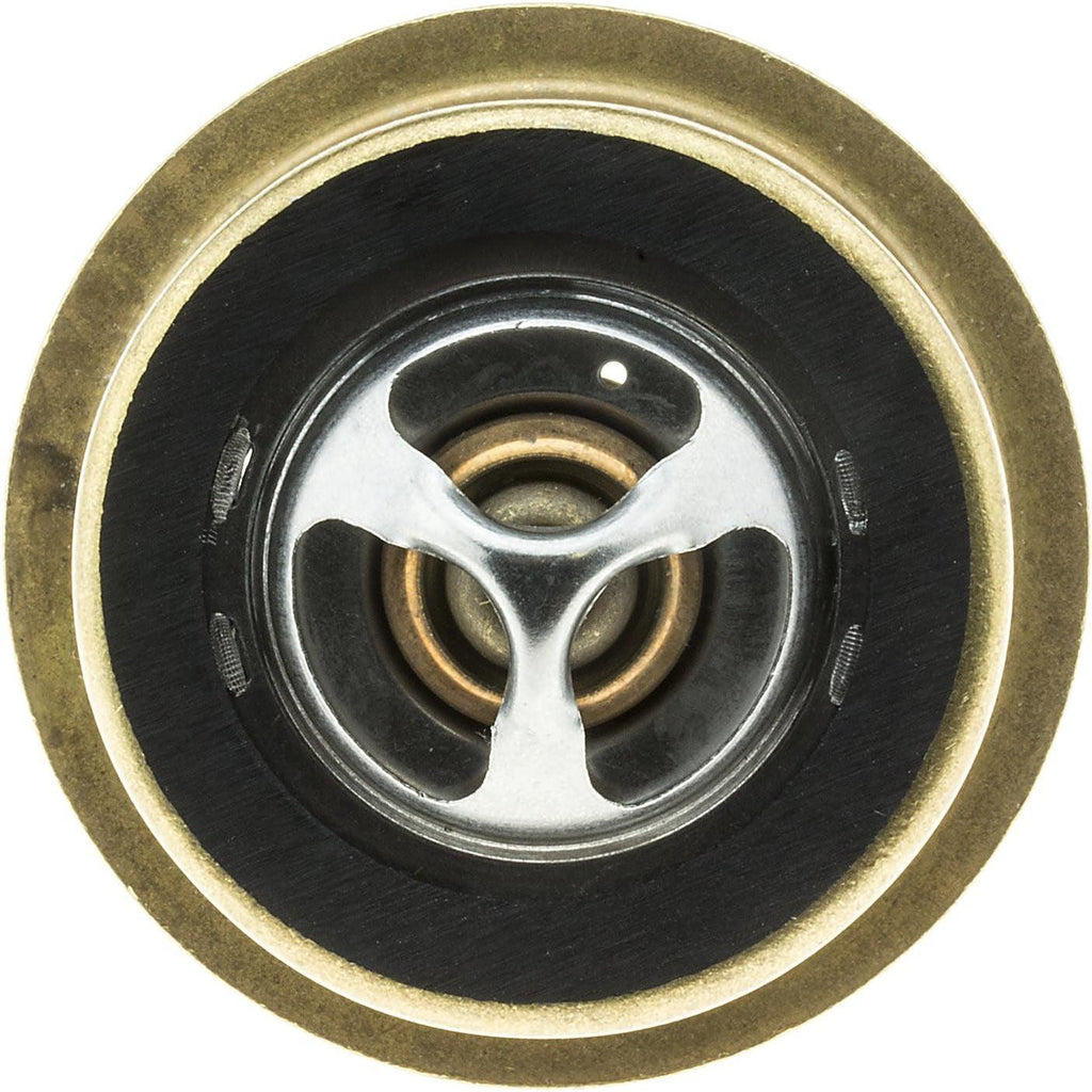 245-180 Thermostat with Seal