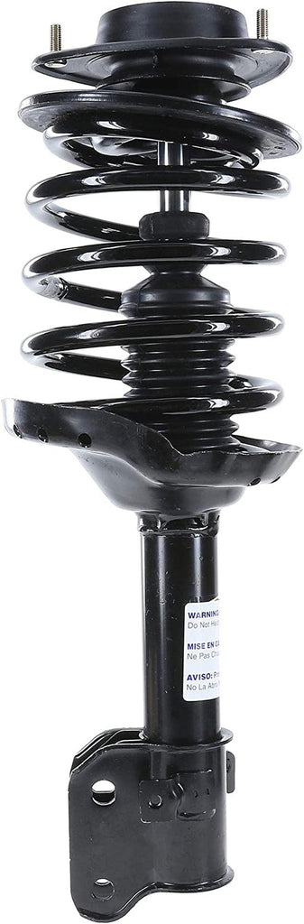 182565 Suspension Strut and Coil Spring Assembly