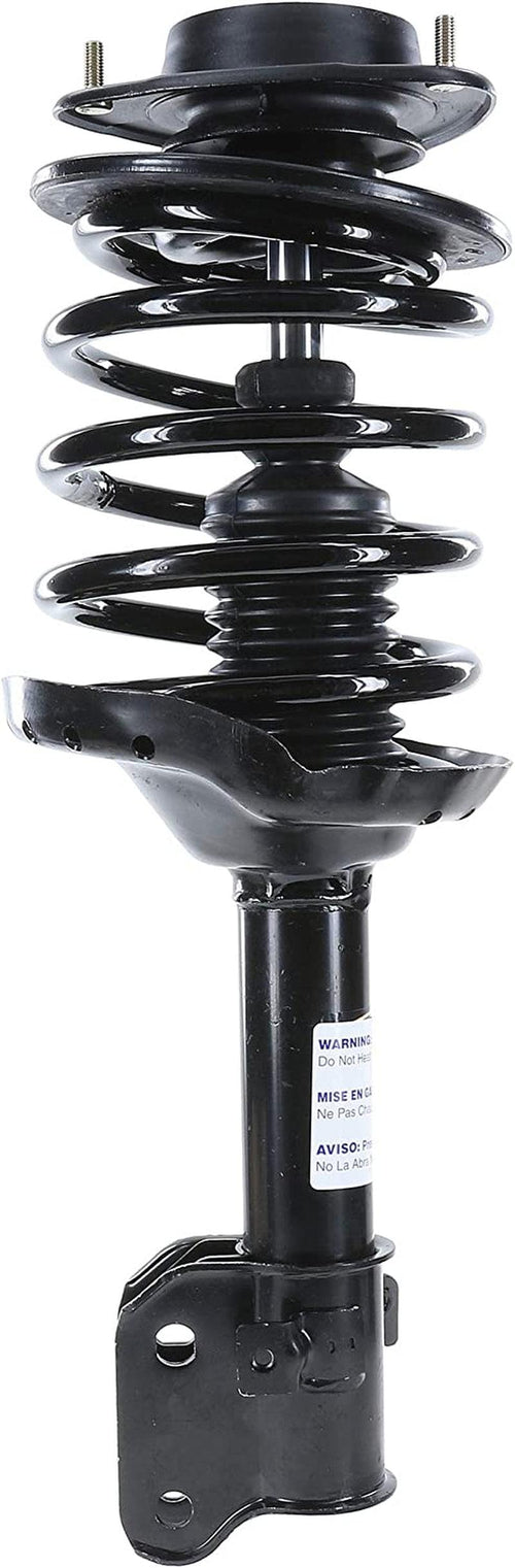 182565 Suspension Strut and Coil Spring Assembly