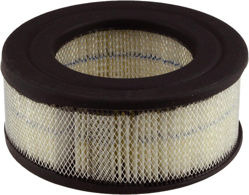 Professional A2137C Air Filter