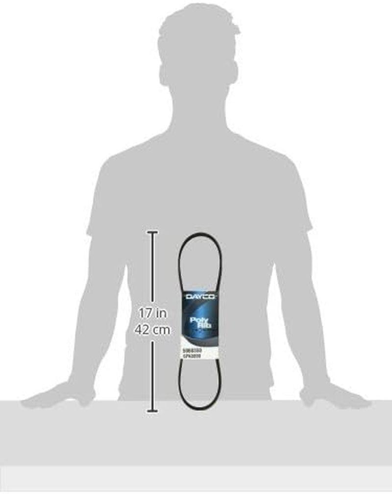 5060350 Serpentine Belt