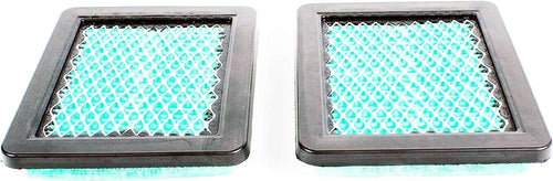 17211-ZS9-A02 Pack of 2 Air Filter Elements