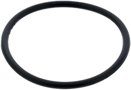 MG1006EA: Engine Coolant Thermostat Seal