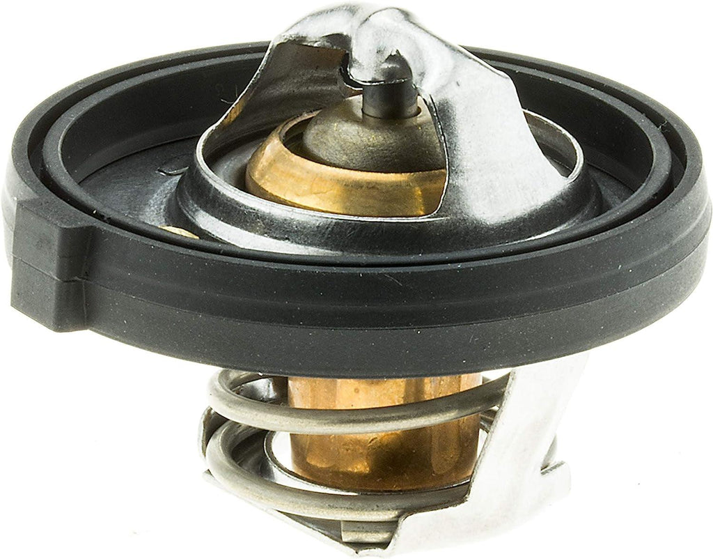 33849 Thermostat