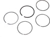 55568927 Engine Piston Ring Kit