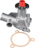 Professional 252-098 Water Pump Kit