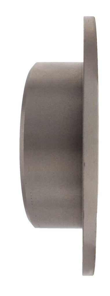 Centric Rear Disc Brake Rotor for BMW (121.34019)