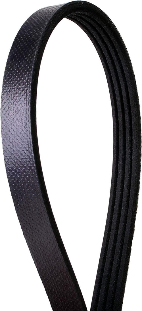 Continental Elite 4040374S Poly-V Stretch Belt, One Size
