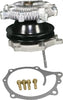 Professional 252-018 Water Pump Kit