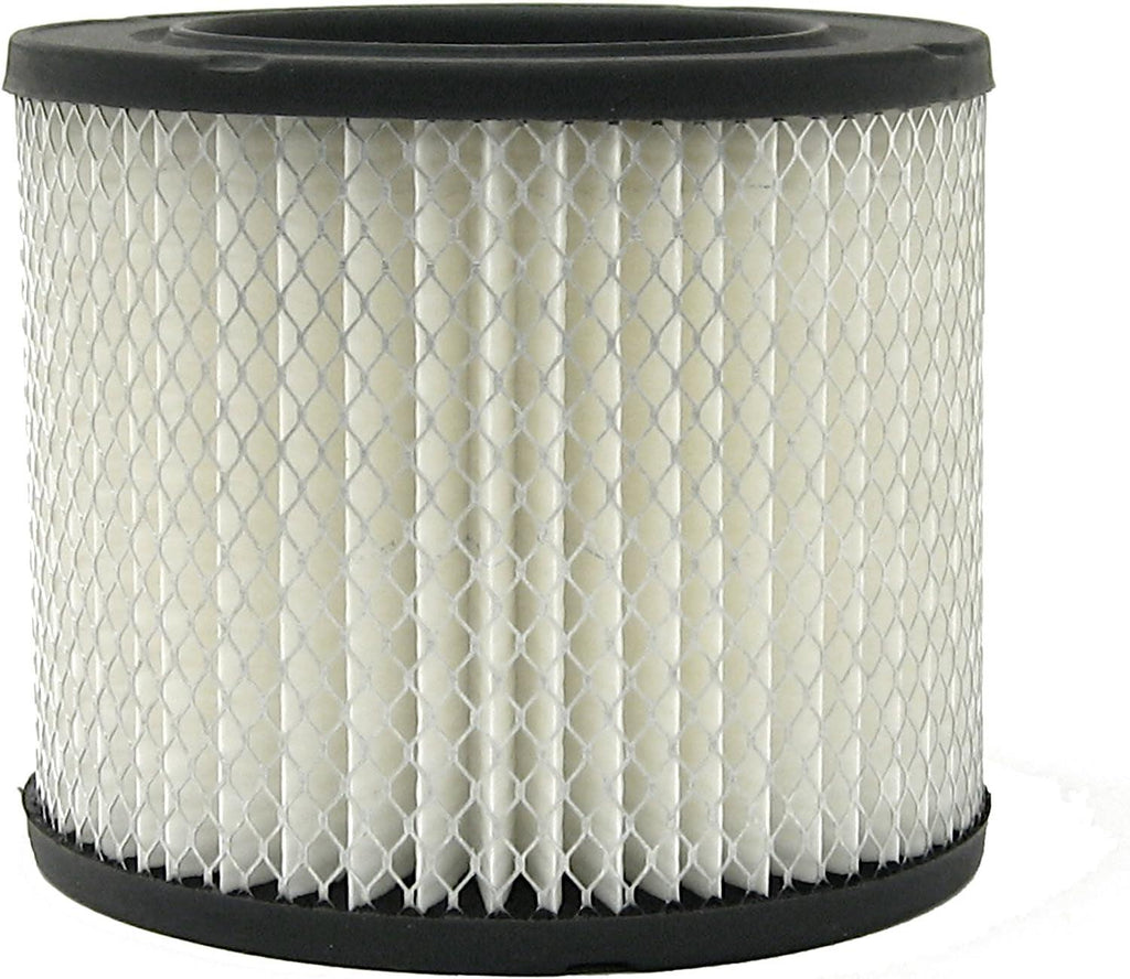 GM Original Equipment A905C Air Filter