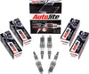 Autolite APP103 Double Platinum Automotive Replacement Spark Plugs (4 Pack)
