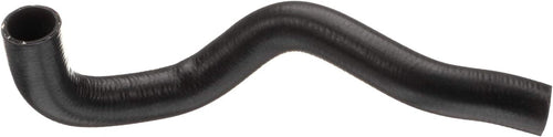 Gold 24596L Molded Lower Radiator Hose