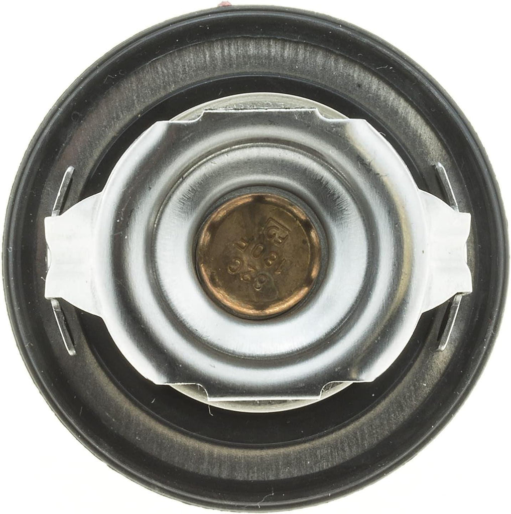 -14698 OE Type Thermostat,Stainless Steel