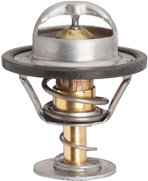 13889 Regular Thermostat