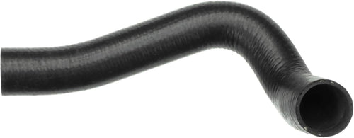 Gold 20204S Molded Radiator Hose