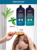 Peppermint Rosemary Hair Regrowth and anti Hair Loss Shampoo and Conditioner Set - Daily Hydrating, Detoxifying, Volumizing Shampoo and Fights Dandruff for Men and Women 16 Fl Oz X 2
