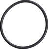 55496156 Radiator Outlet Pipe Seal